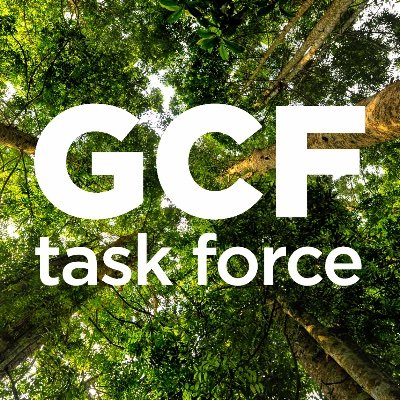 GCFTaskForce Profile Picture