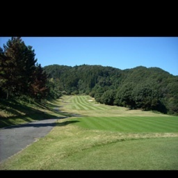 zousangolf's profile picture. Golf！10回連続90切りとAクラス月例優勝に向けて格闘中。主戦場は太平洋。打感、出会い、自然、車、クラブ、デバイスも楽しいが、矢張スコア直結の成長が意欲の源泉。時折テニスと本の話も。