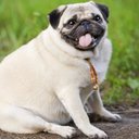 mike deery - @butdidyoudie - Twitter