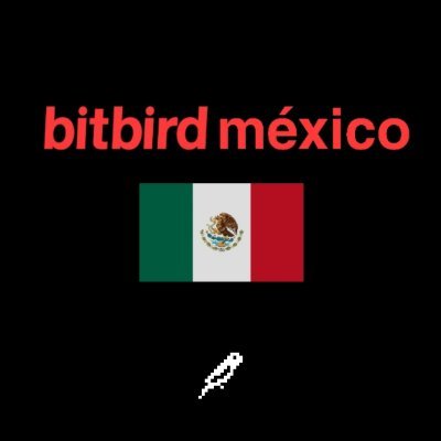 bitbird méxico 
create forever.