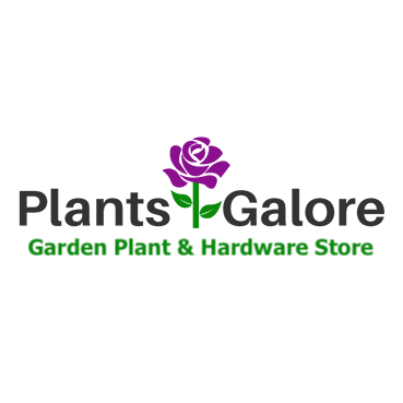 Our plants are grown at our very own Devon nurseries meaning you can skip the garden centre and buy directly from the grower at half the normal price!