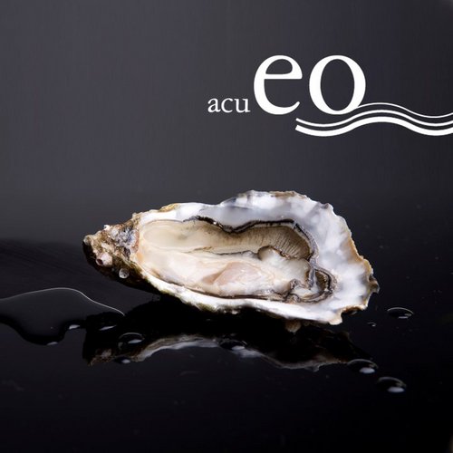 Cultivo y venta de ostras en la ría del Eo (Asturias) desde 1992. Tienda online. Ostras ecológicas.