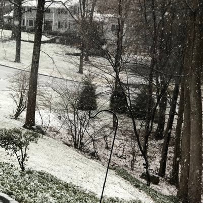 aylin81313086's profile picture. 