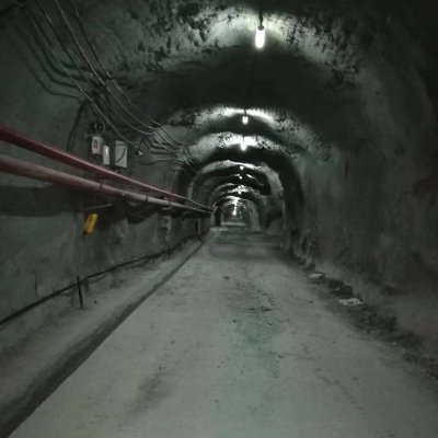 zlang19's profile picture. 