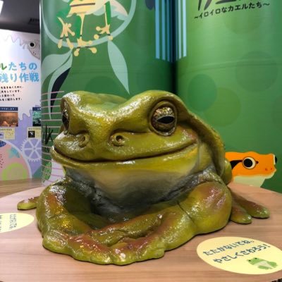 monmon_audio's profile picture. ポタオデ情報収集しては悶々とする日々。無言フォローご容赦下さい。 イヤホンはIE900で卒業し今はヘッドホンがメイン。夏でも元気に使ってます！最近は環境を一新しようかとお店を徘徊する機会が増えました（笑）