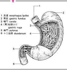HALACO 観音  act81  　　http://t.co/csyjh67Lxx
https://t.co/7JrQFMzvzk
