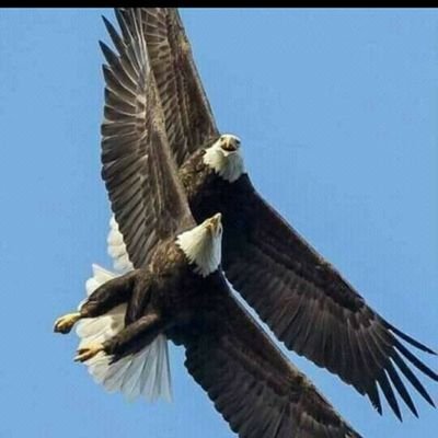 mariane9255's profile picture. 