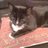 Heather43jjc's profile image
