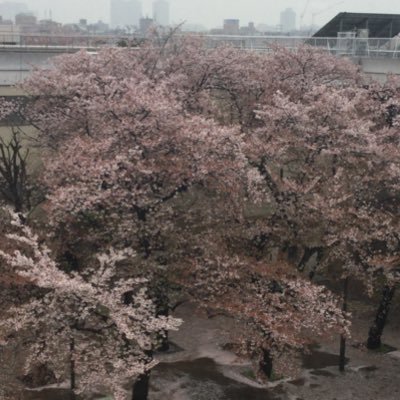 WPWUwADfsJytAWw's profile picture. どこにでもいるサラリーマン