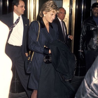 a princess diana stan account