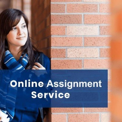 Get quick help with homework by the best online homework tutor. All level online homework help for assignment topics, available 24/7.
Email support service: em