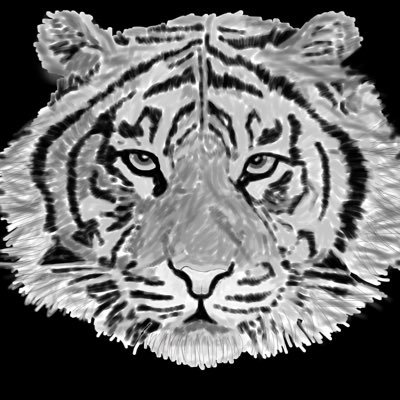 RodneyHortonJr1's profile picture. player experience and personality is our goal as well as trust building with our fans by ACTIVE community interaction follow our IG @albinotigergames