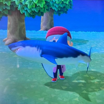 6h5umgGCNBhIPtc's profile picture. あつ森やってます！！ のんびり無人島生活😼