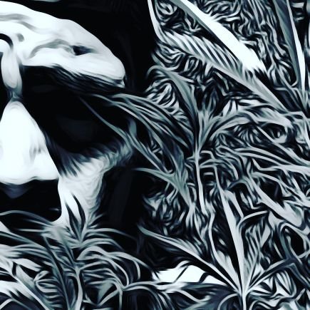 DarkOwl22's profile picture. 