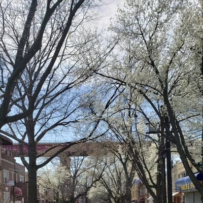 Haydee56466959's profile picture. 