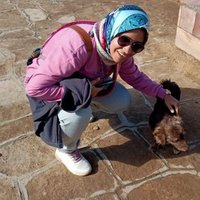 Asmaa Ahmed (@asmaaah27680430) 's Twitter Profile Photo