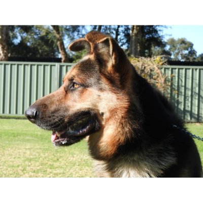 Elric37225908's profile picture. 