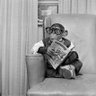 Ozz30468729's profile picture. 