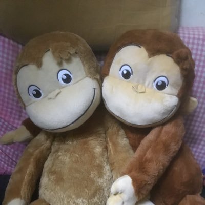 あいら〜さんのプロフィール画像