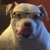OUTL4W (@politicaloutl4w) 's Twitter Profile Photo OUTL4W (@politicaloutl4w) 's Twitter Profile Photo