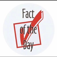 Fact of the Day(@factsdaily2407) 's Twitter Profile Photo