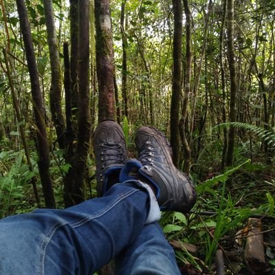 RizkiArisandi23's profile picture. i know many things about you