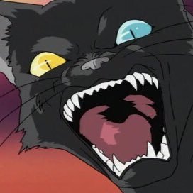 C7fL0Tm5NN4SsEH Profile Picture