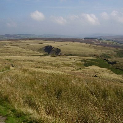 keytochangethew's profile picture. 特許事務所勤務。小1からのおうち英語模索中。