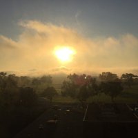 Zengwei Luo (@luozengwei) 's Twitter Profile