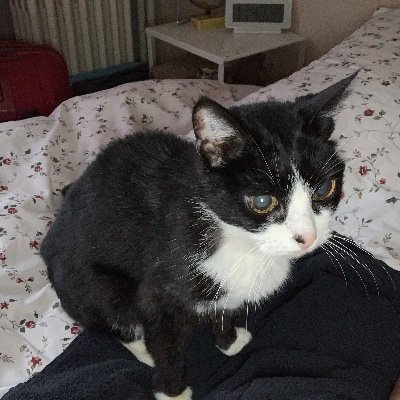 keratine79's profile picture. 