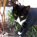 Kerry Howlett - @KerryHowlett6 - Twitter