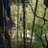 Bournville872's profile image
