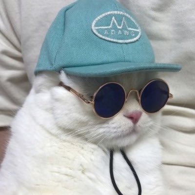 4yourproblems's profile picture. conta destinada a ajudar cada um de vocês! para desabafar ou pedir conselhos, apenas chame na dm, nós vamos responder o mais rápido possivel❤️