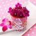 Mohamed (@mohamed53445845) Twitter profile photo