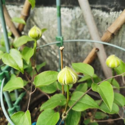 coolxin's profile picture. my twitter account is created in 2007.
more than ten years has passed,lots have changed.