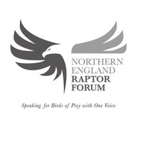 Raptorforum (@n_e_r_f) 's Twitter Profile