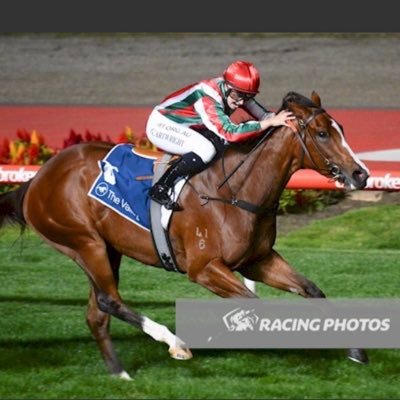 Jockey based in Brisbane - Manager - Adrian Gray 0400 971 581