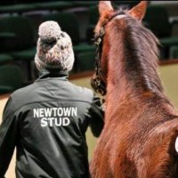 Newtown Stud (@newtownstud) Twitter profile photo