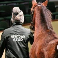 Newtown Stud(@NewtownStud) 's Twitter Profileg