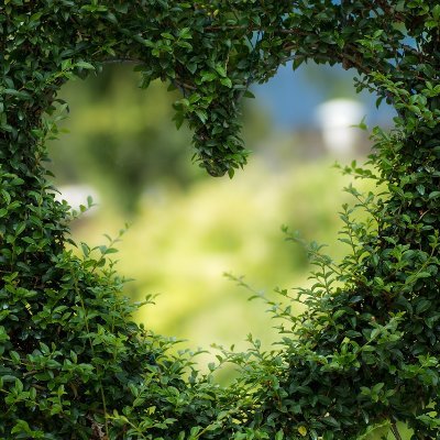 Turn everything into a positive. Reduce worry. Life is not meant to last forever, it is meant to be lived.
Let your light shine!
#FollowBackClimate
