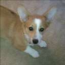 Emily Ayers - @NalasMama625 - Twitter