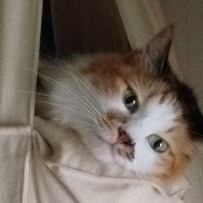 acco_76's profile picture. 