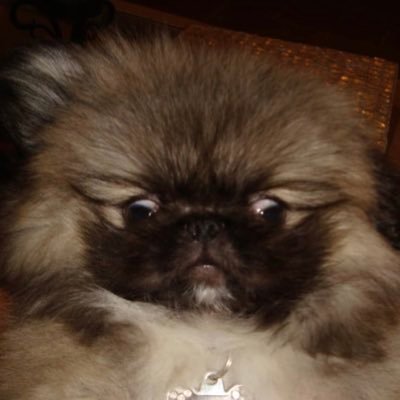 everologist's profile picture. Anything