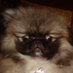 Everologist (@everologist) Twitter profile photo Everologist (@everologist) Twitter profile photo