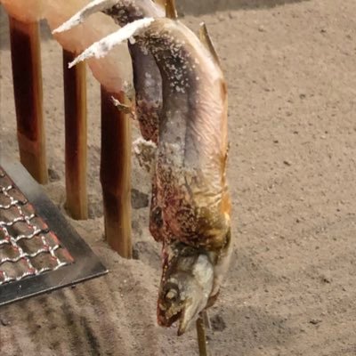 Coelacanth0311's profile picture. 