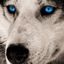 Katleez1's profile picture.
