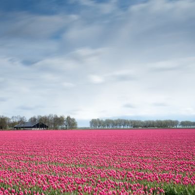 marshal32502172's profile picture. 