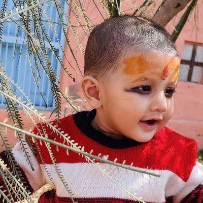 ShaluSh66347264's profile picture. 