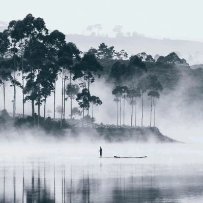 bmqzwl's profile picture. 大家好