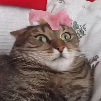 緋色(229, 72, 72)さんのプロフィール画像